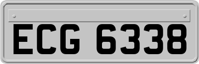 ECG6338