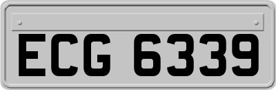 ECG6339