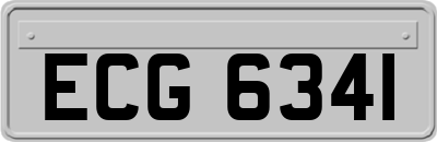 ECG6341