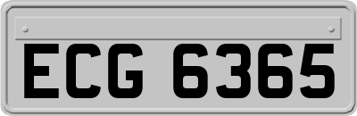 ECG6365