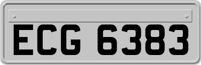 ECG6383