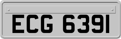 ECG6391