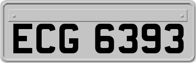 ECG6393