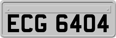 ECG6404