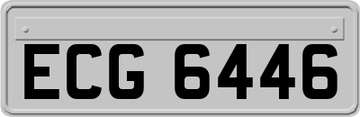 ECG6446