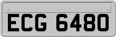 ECG6480