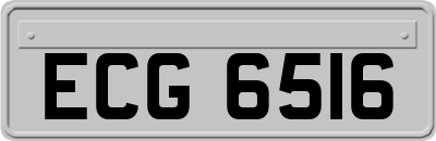 ECG6516