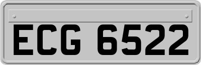 ECG6522