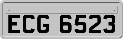 ECG6523