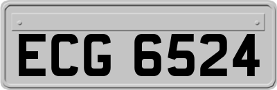 ECG6524