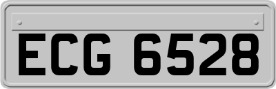 ECG6528