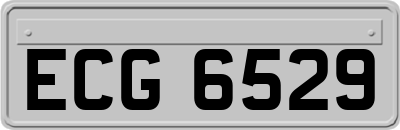 ECG6529