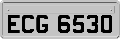ECG6530