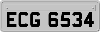 ECG6534