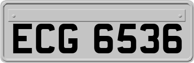 ECG6536