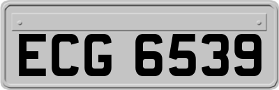 ECG6539