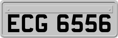 ECG6556