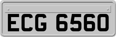 ECG6560
