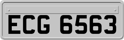 ECG6563