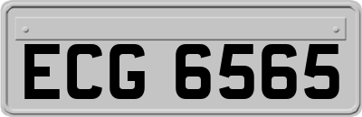 ECG6565