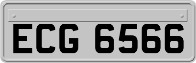 ECG6566
