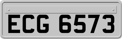 ECG6573
