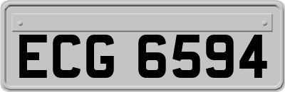 ECG6594