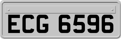 ECG6596