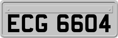 ECG6604