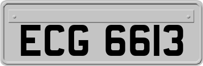 ECG6613
