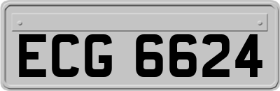 ECG6624