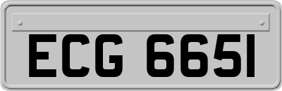 ECG6651