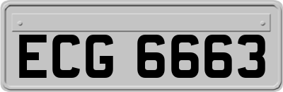 ECG6663
