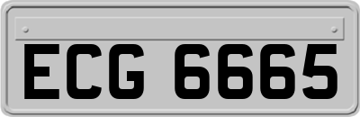 ECG6665