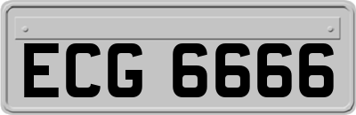 ECG6666