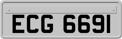 ECG6691