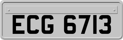 ECG6713