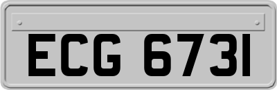 ECG6731