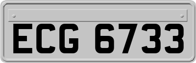 ECG6733