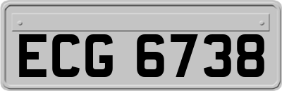 ECG6738