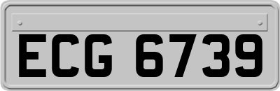 ECG6739