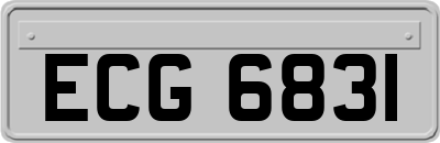 ECG6831