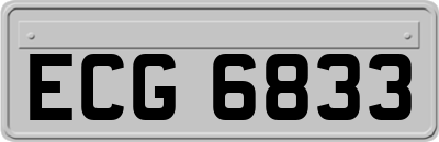 ECG6833