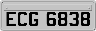 ECG6838