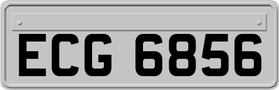 ECG6856