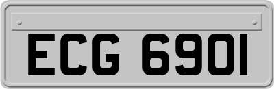 ECG6901