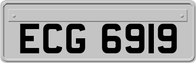 ECG6919