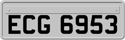 ECG6953