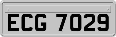 ECG7029
