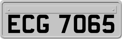 ECG7065
